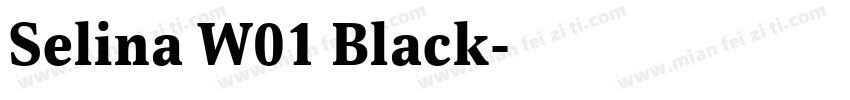 Selina W01 Black字体转换